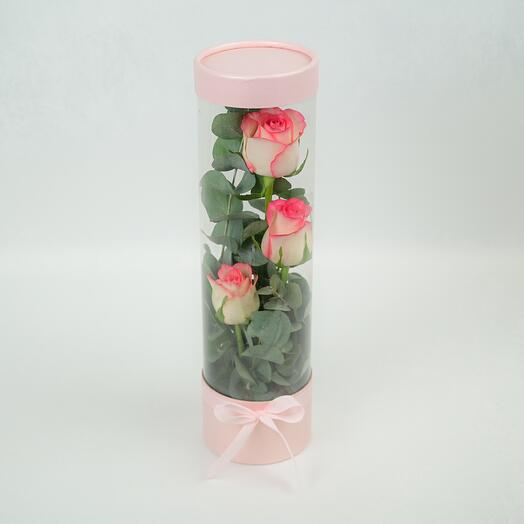 Dual Shade Pink Rose Fuse - 5479