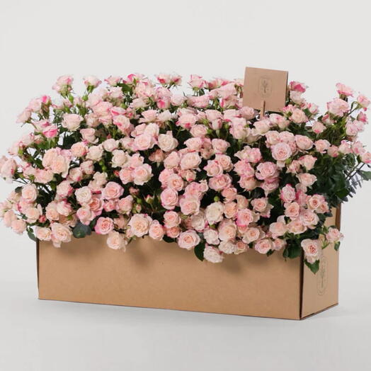 Flowers in a box