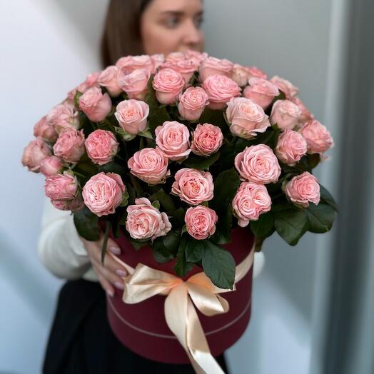 Rose Love ❤️