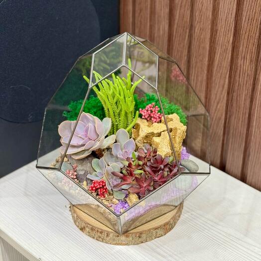 Флорариум подарок для девушки