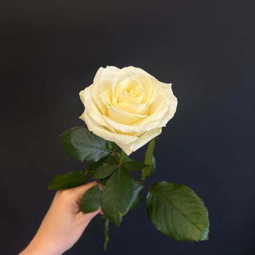 MariFlowers Ерёменко 