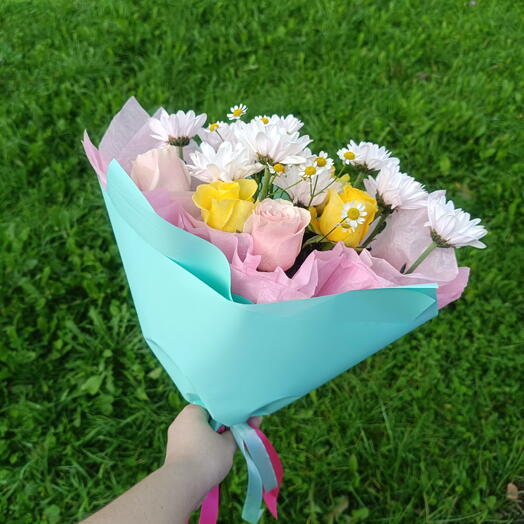 Dianthus 