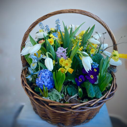 Flower_feya