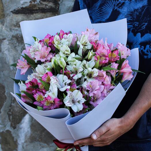 Monobucket Alstroemeria