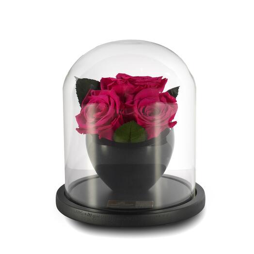 Rhubarb  Pink Preserved Roses in crystal vase Trio