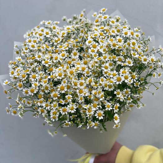 Охапка ромашек