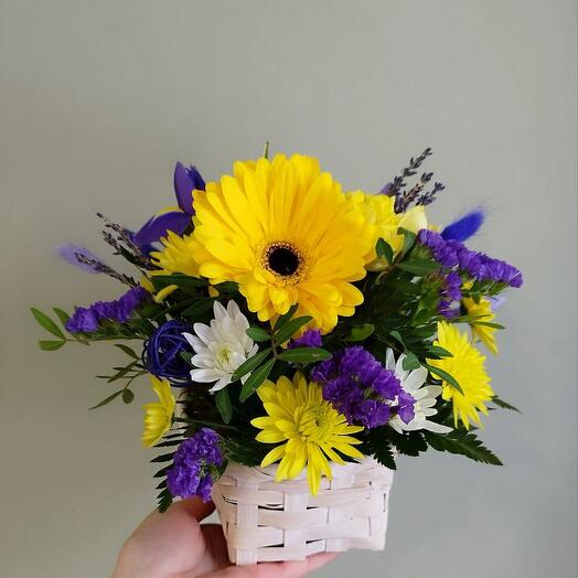 Композиция "Солнечные зайчики"