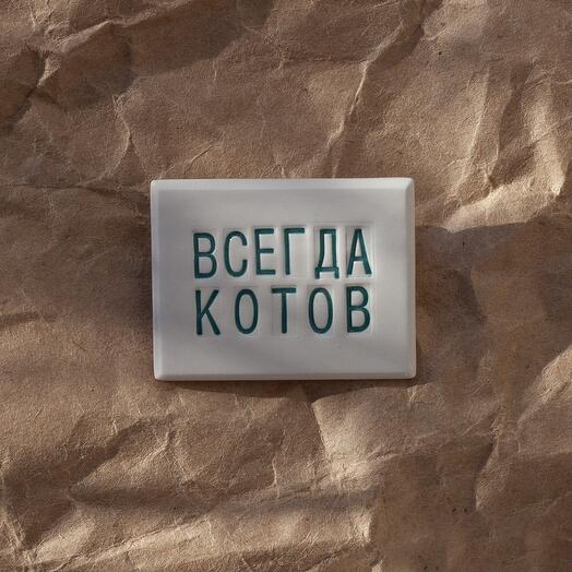 Ceramic brooch "Vsegda kotov"
