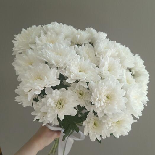 FLORIS SHOP