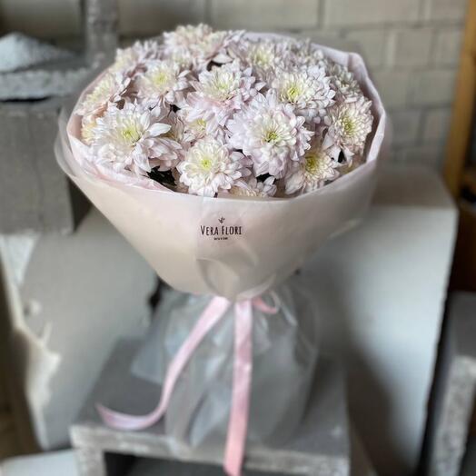 Pink chrysanthemum cloud🧚🏻♀️