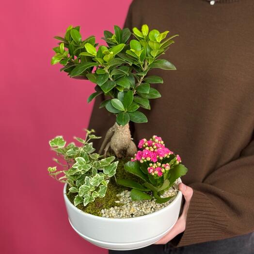 Margoplants Шаболовская 