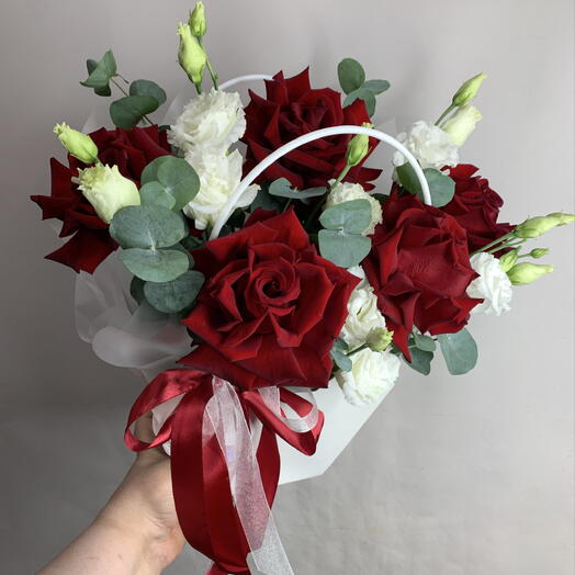 Brassica 