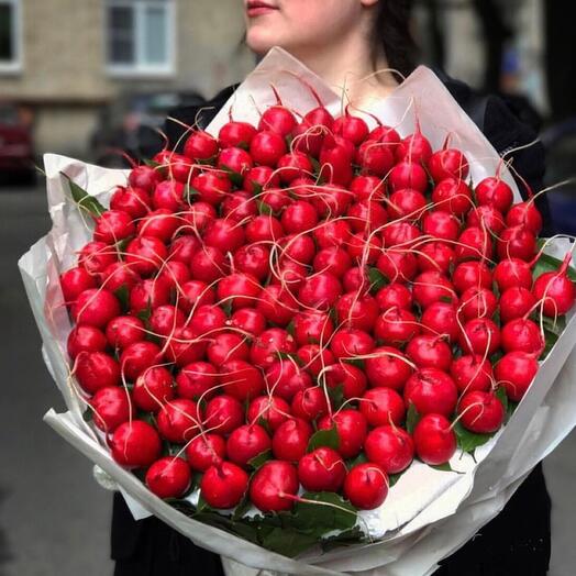 101 редис (диаметр 50 см)