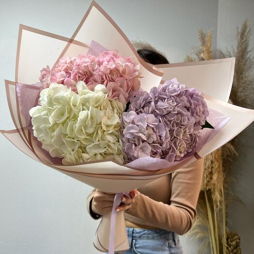 Моно из гортензий 🌸