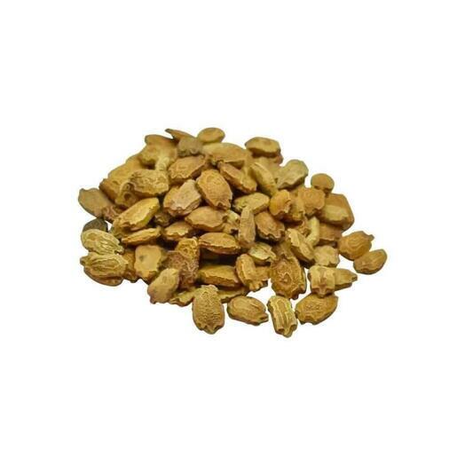 Asian, Bangladeshi BITTER GOURD Seeds - Kerela, Karela - 10 Seeds (UK Seller)
