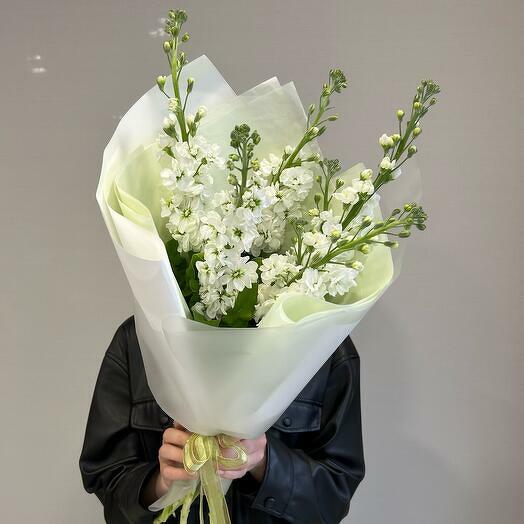 White Matthiola