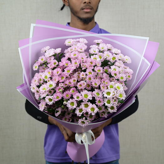 25 Purple Majesty Chrysanthemum