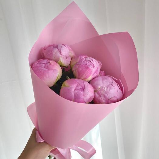 Пионы 5 розовые