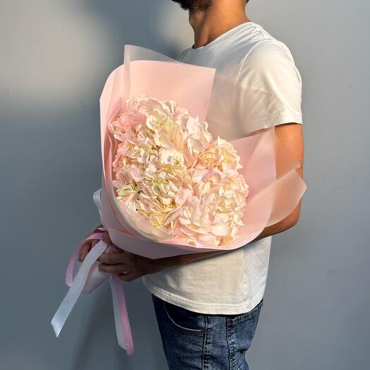 Bouquet of cream hydrangeas
