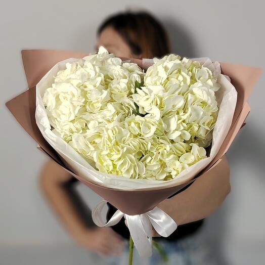 Delicate bouquet of white hydrangeas