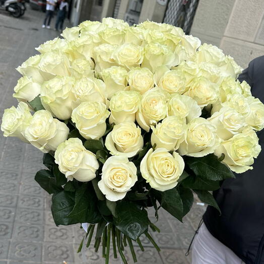 55 White roses