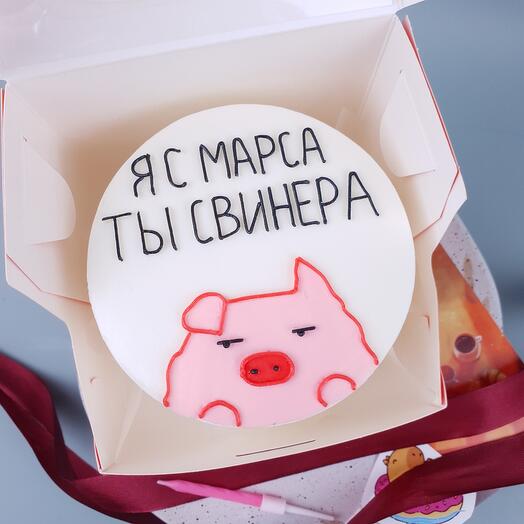Бенто-торт "Я с Марса, ты свинера"