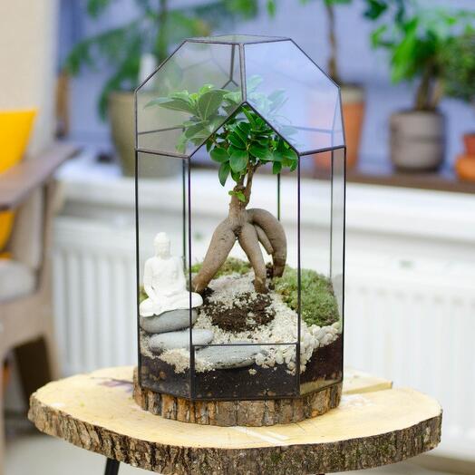 Флорариум Маяк Бонсай