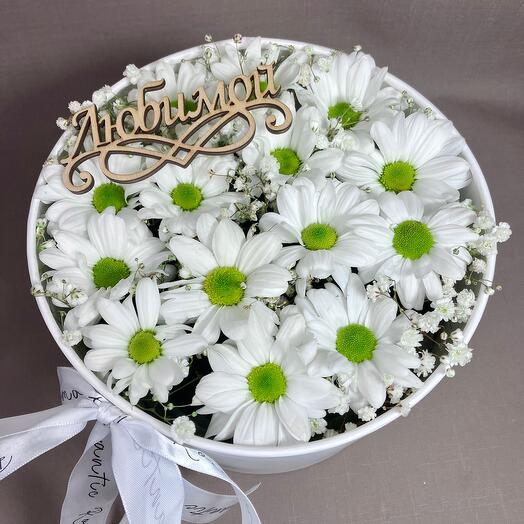 Chrysanthemum and gypsophila in a box