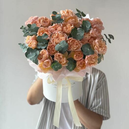 Поцелуй зари