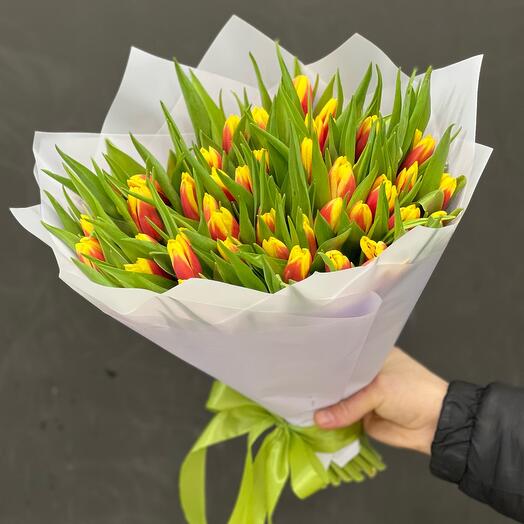 Тюльпаны Голландия