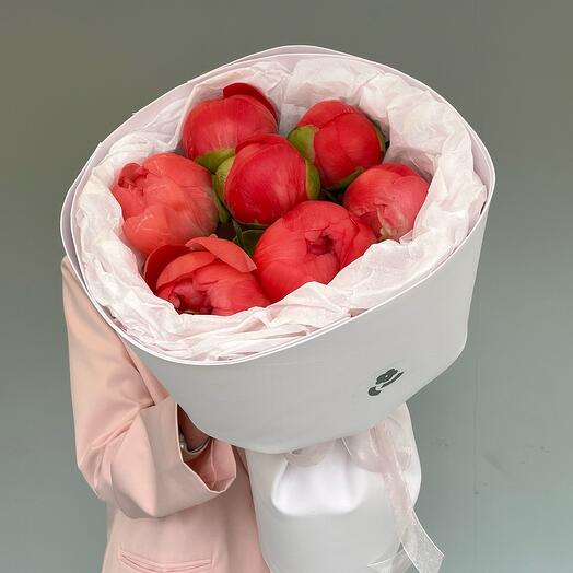 Пиономания 🌸Моно с Корол Шарм