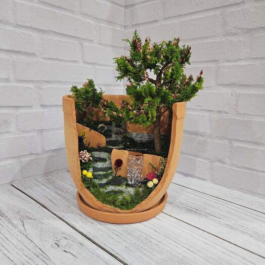 Studiya fitodizayna "Micro Garden"