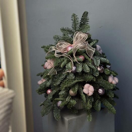 FLORCAT