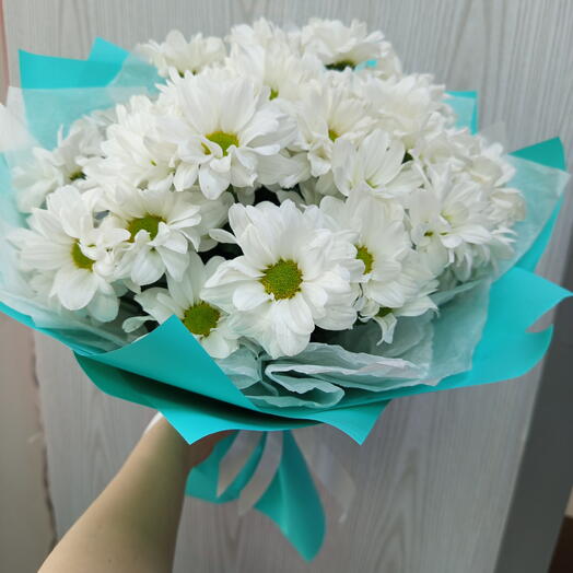 ВерАлекс