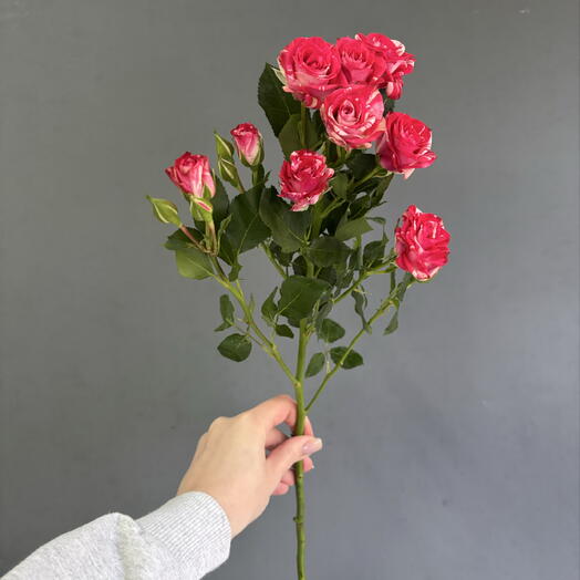 FLOWERS on BALLOON