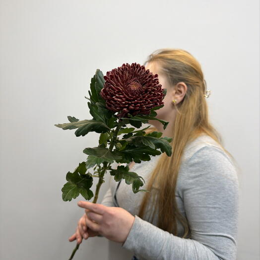 ЦВЕТЫ МАНЯТ flowers shop