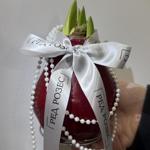 Розы на Гаврилова