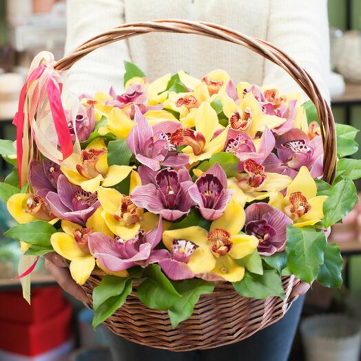 Korhina with flowers Once in Miami