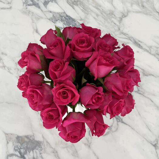 Fucsia roses in a vase