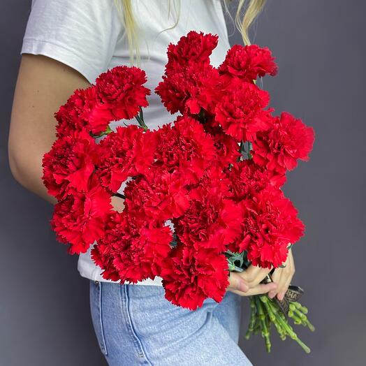 Carnation for the funeral 20 pieces