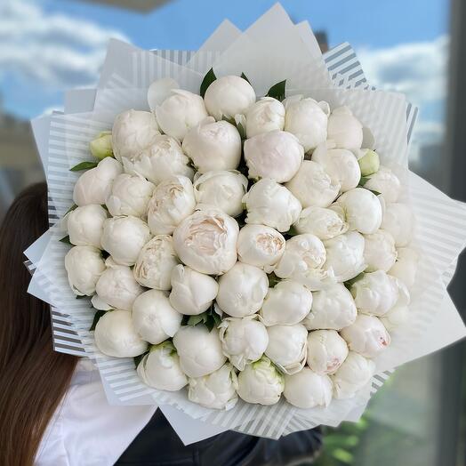 Белые пионы 51шт Мадам Клоте Италия