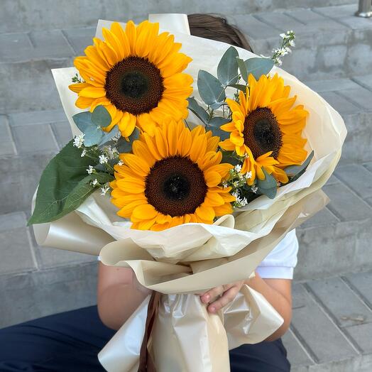 Подсолнухи 🌻