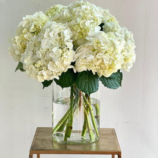 Hydrangeas Vase