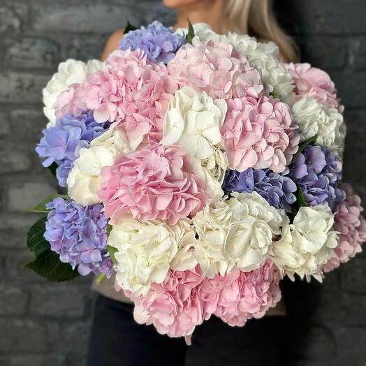 Bouquet of assorted hydrangeas