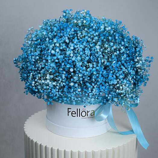 31 Blue Gypsophilia in White Round Box-5703