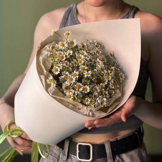 Кулёк Ромашек