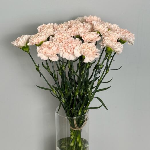 Букет диантус / гвоздика 21 шт