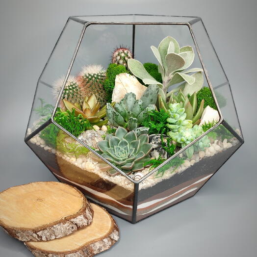Florarium my_flor_mir