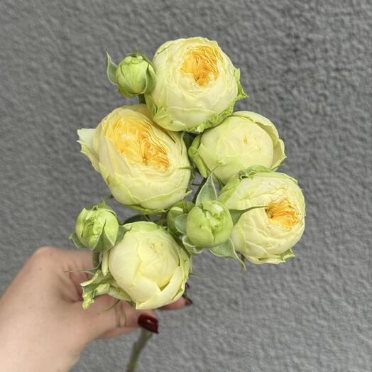 Be Flower
