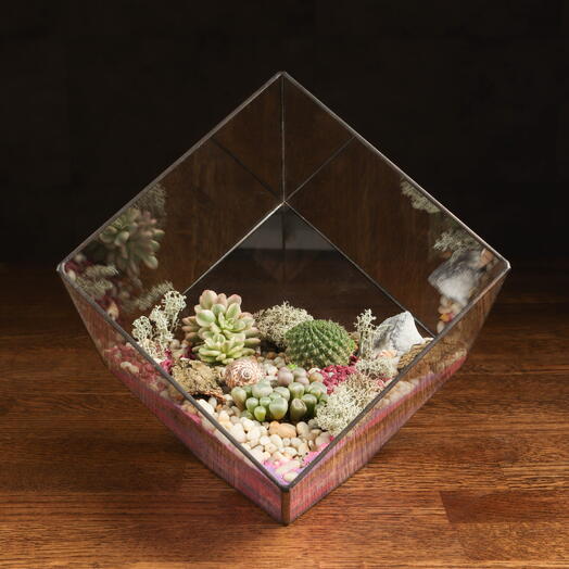 LuxuryPlants